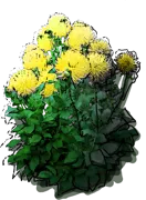 Plant - Dahlia cactus \u0027Yellow Happiness\u0027