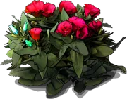 Plant - Eustoma grandiflorum