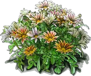 Plant - Treasure Flower \u0027Big Kiss White Flame\u0027