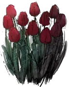 Plant - Tulip \u0027Jan Reus\u0027